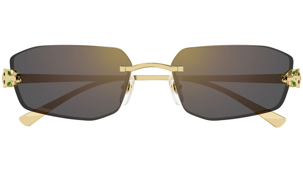 Cartier CT0474S