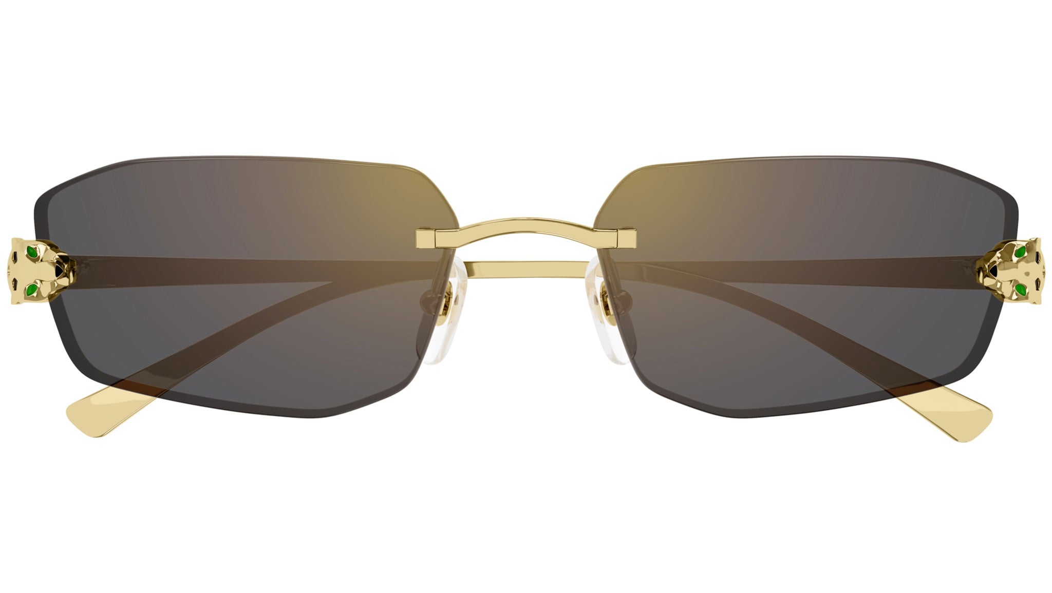 Cartier CT0474S