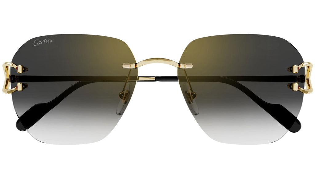 Cartier CT0394S