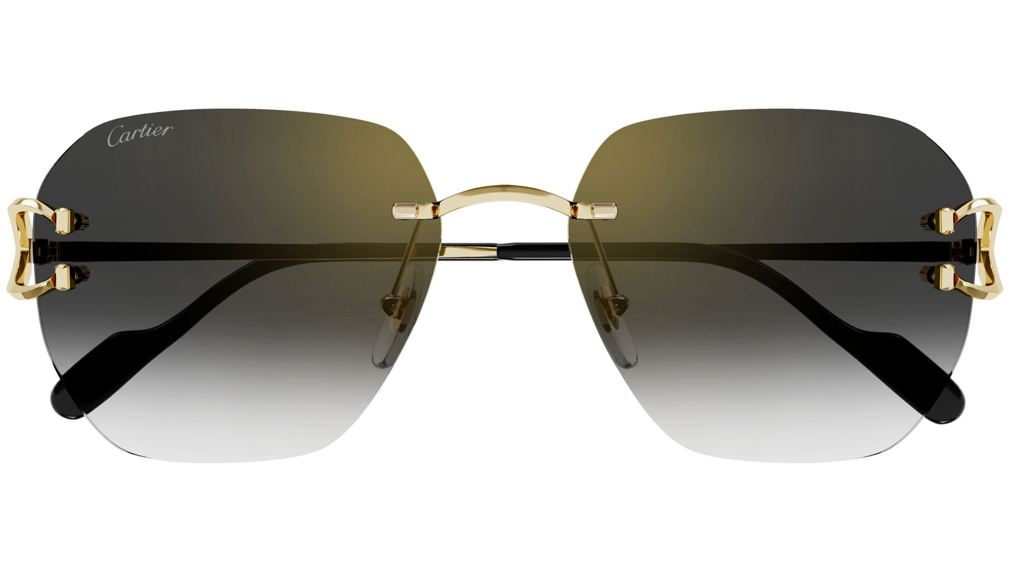 Cartier CT0394S