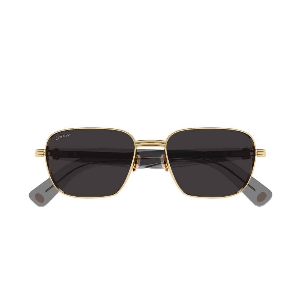 Cartier CT0538S