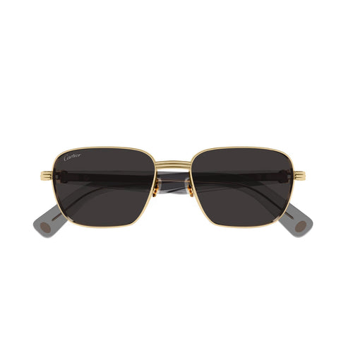Cartier CT0538S