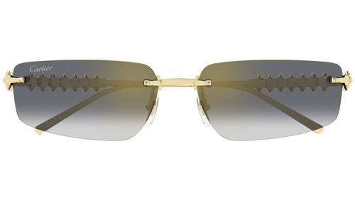 Cartier CT0544S