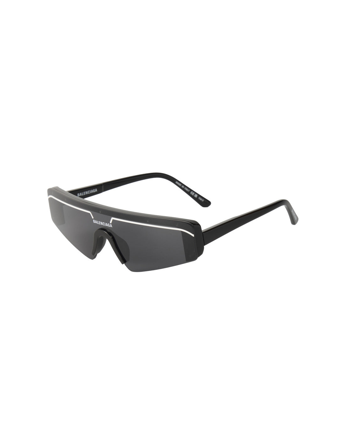 Ski Shield