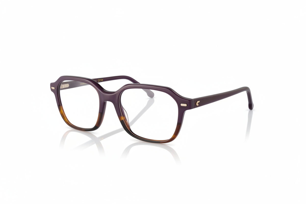 CARRERA 3073