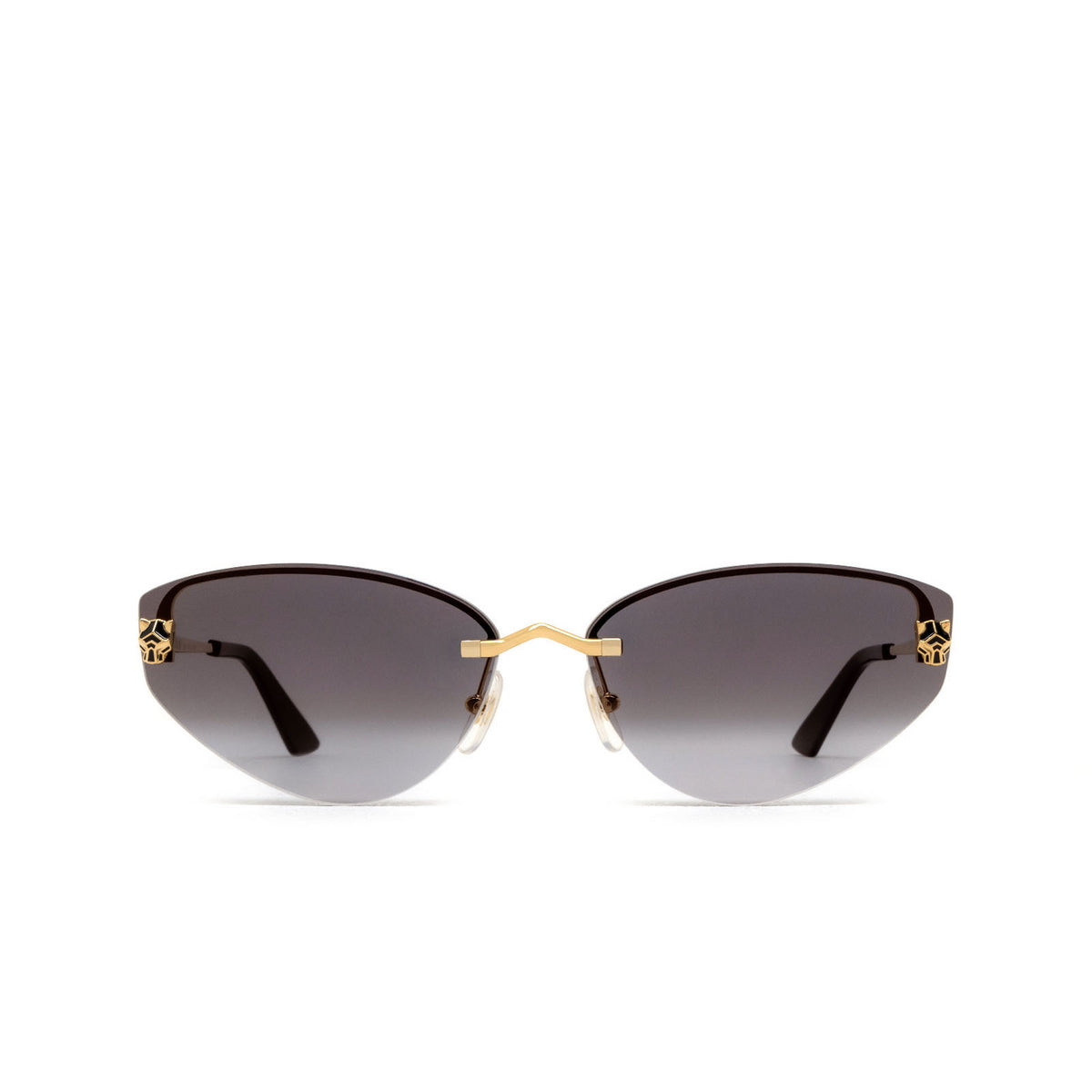 Cartier CT0431S 001