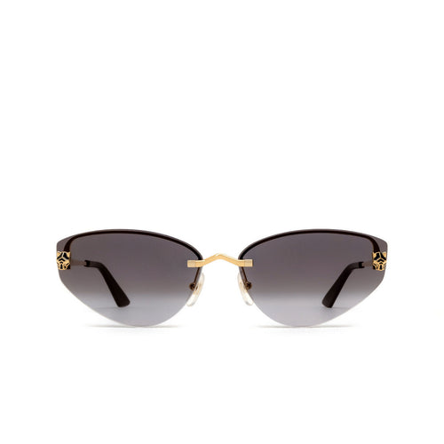 Cartier CT0431S 001