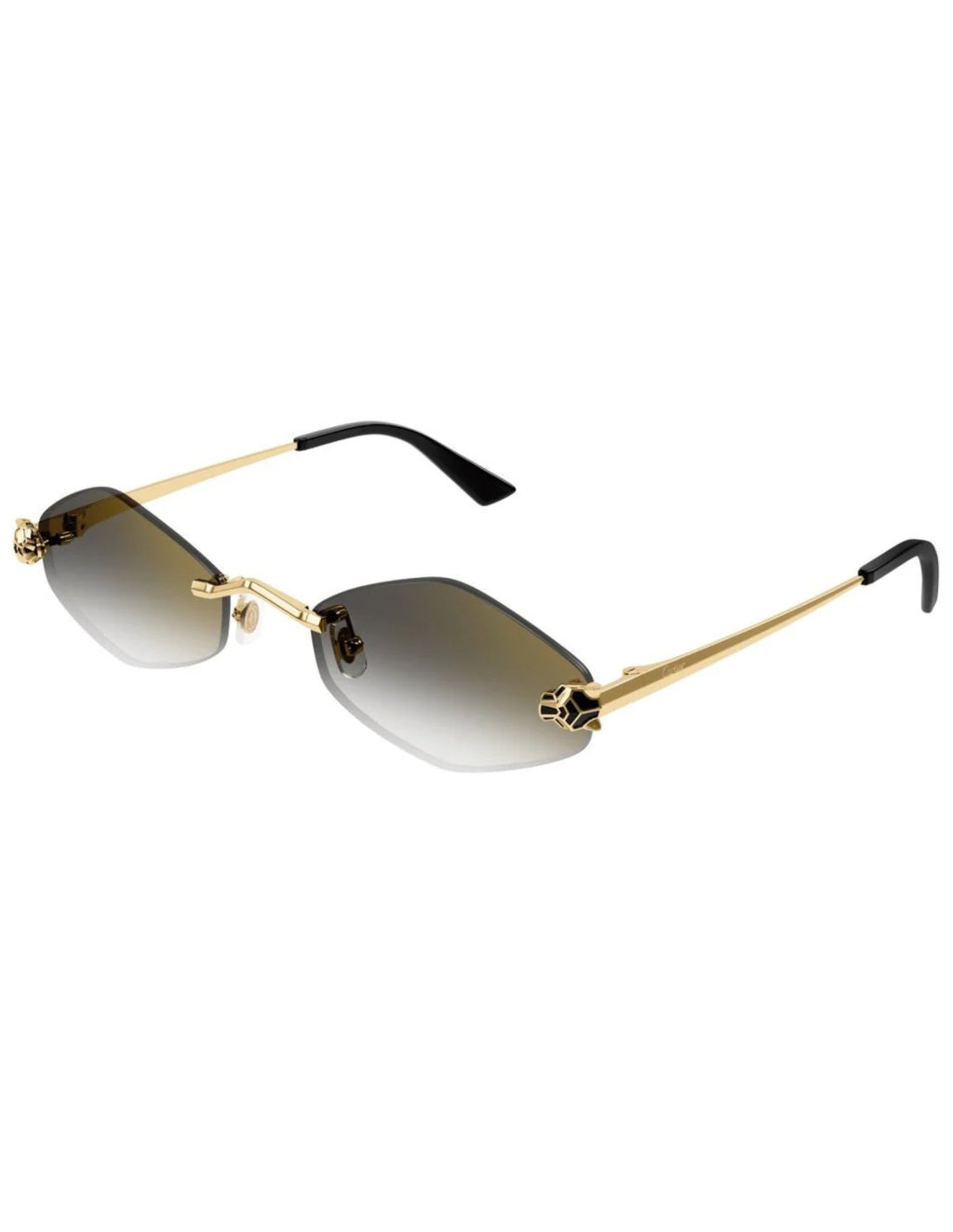Cartier CT0433S