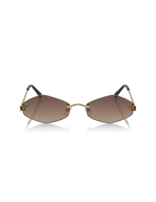 Cartier CT0433S
