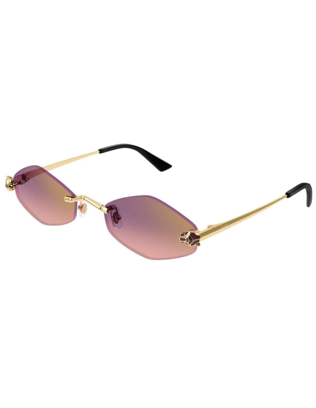 Cartier CT0433S
