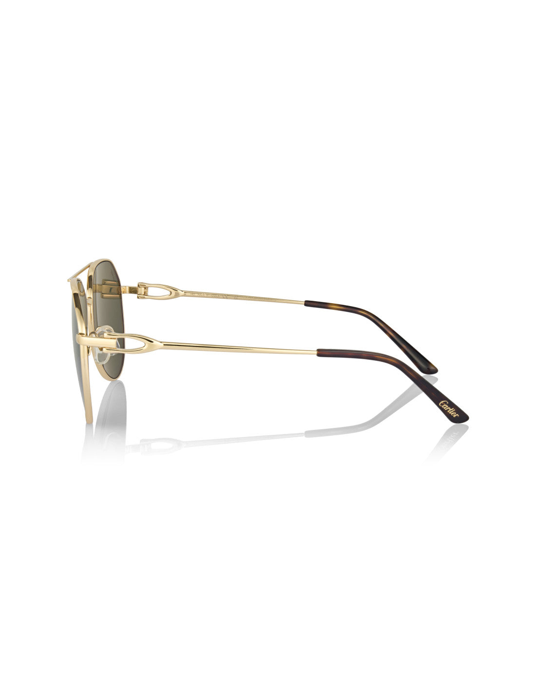 Cartier CT0364S