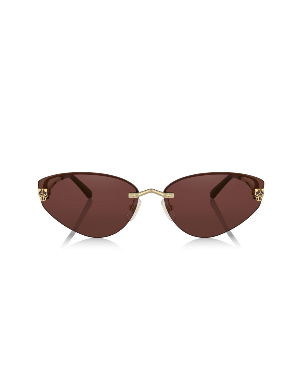 Cartier CT0431S 001