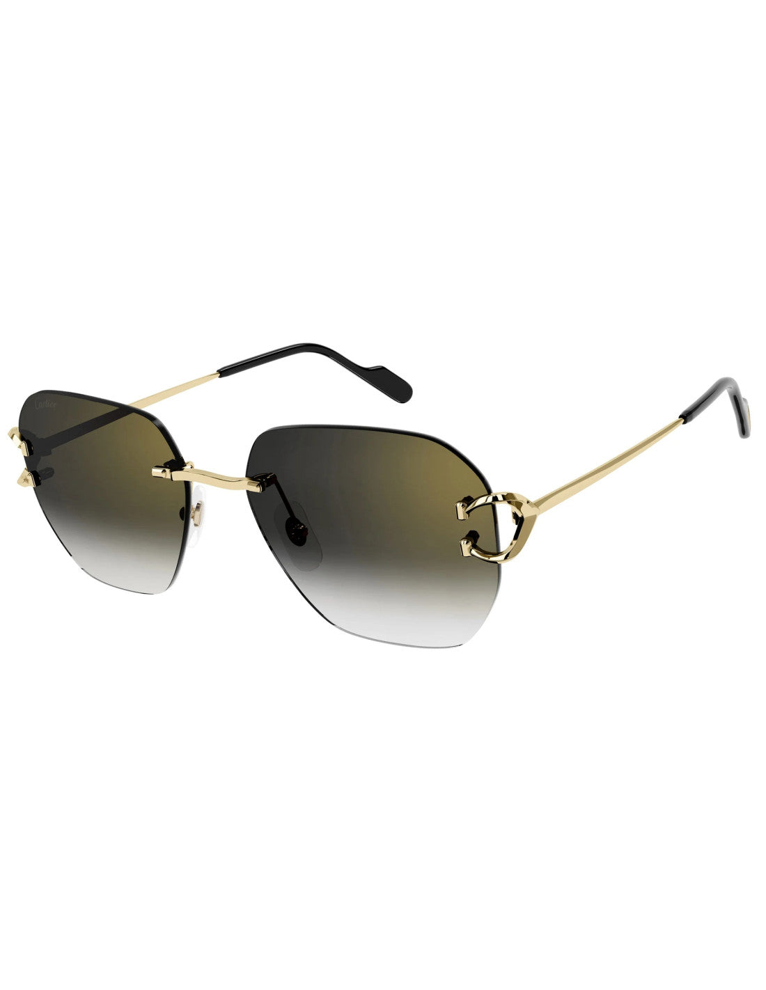 Cartier CT0394S