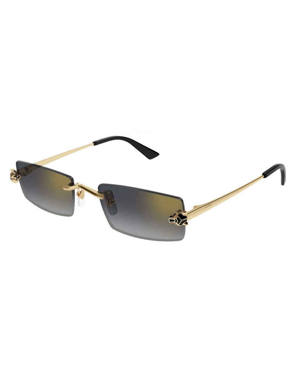 Cartier CT0598S