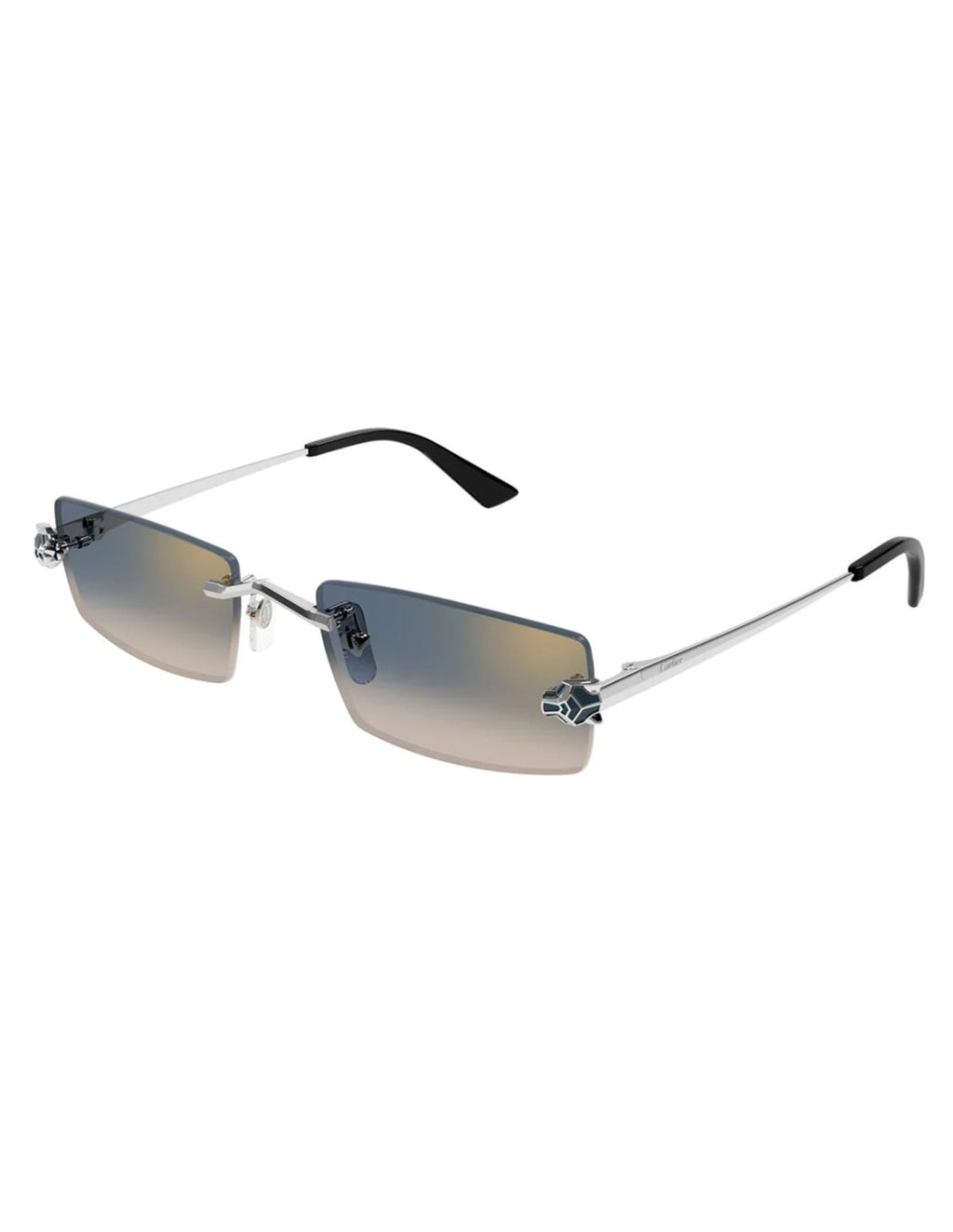 Cartier CT0598S