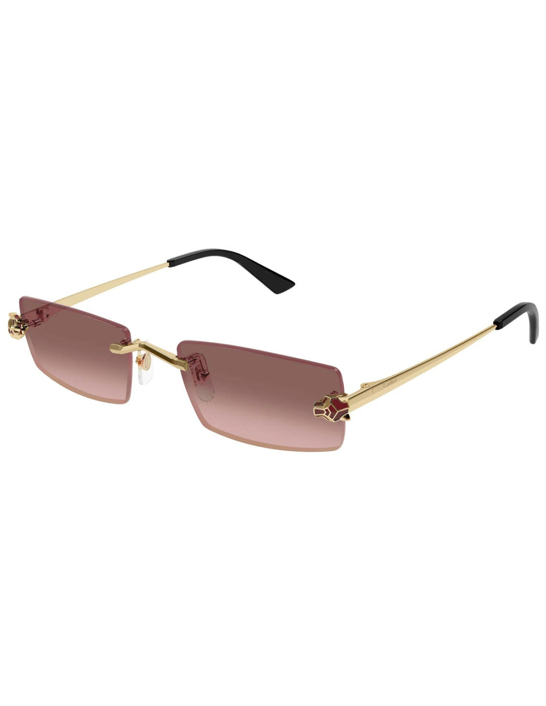 Cartier CT0598S