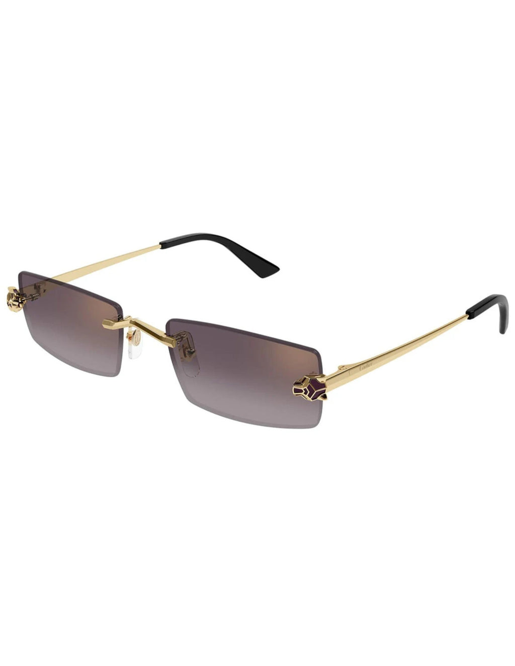 Cartier CT0598S