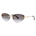 Cartier CT0431S 001