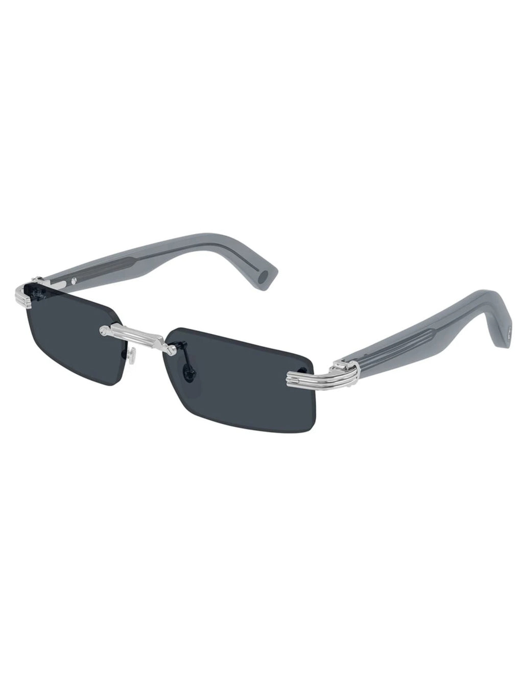 Cartier CT0537S