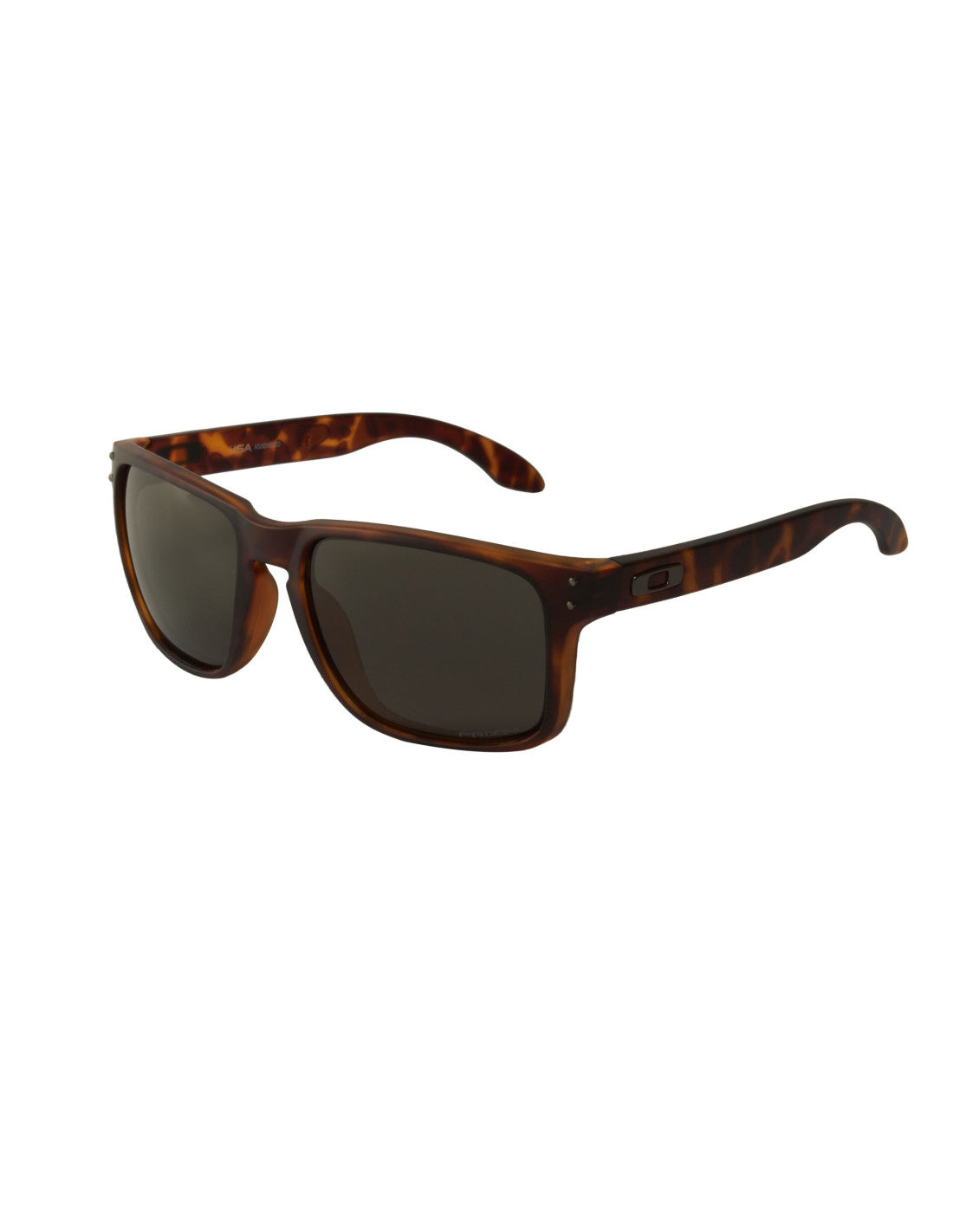 Oakley Holbrook XL