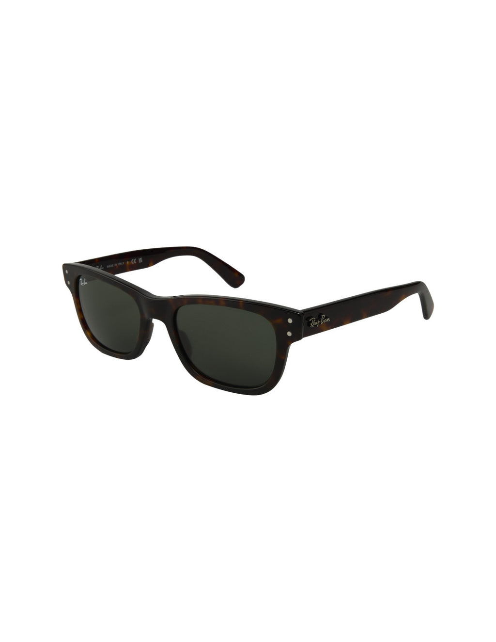 Ray Ban Burbank