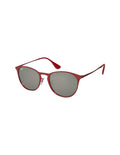 Ray Ban Erika Metal
