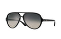 Ray Ban Cats 5000