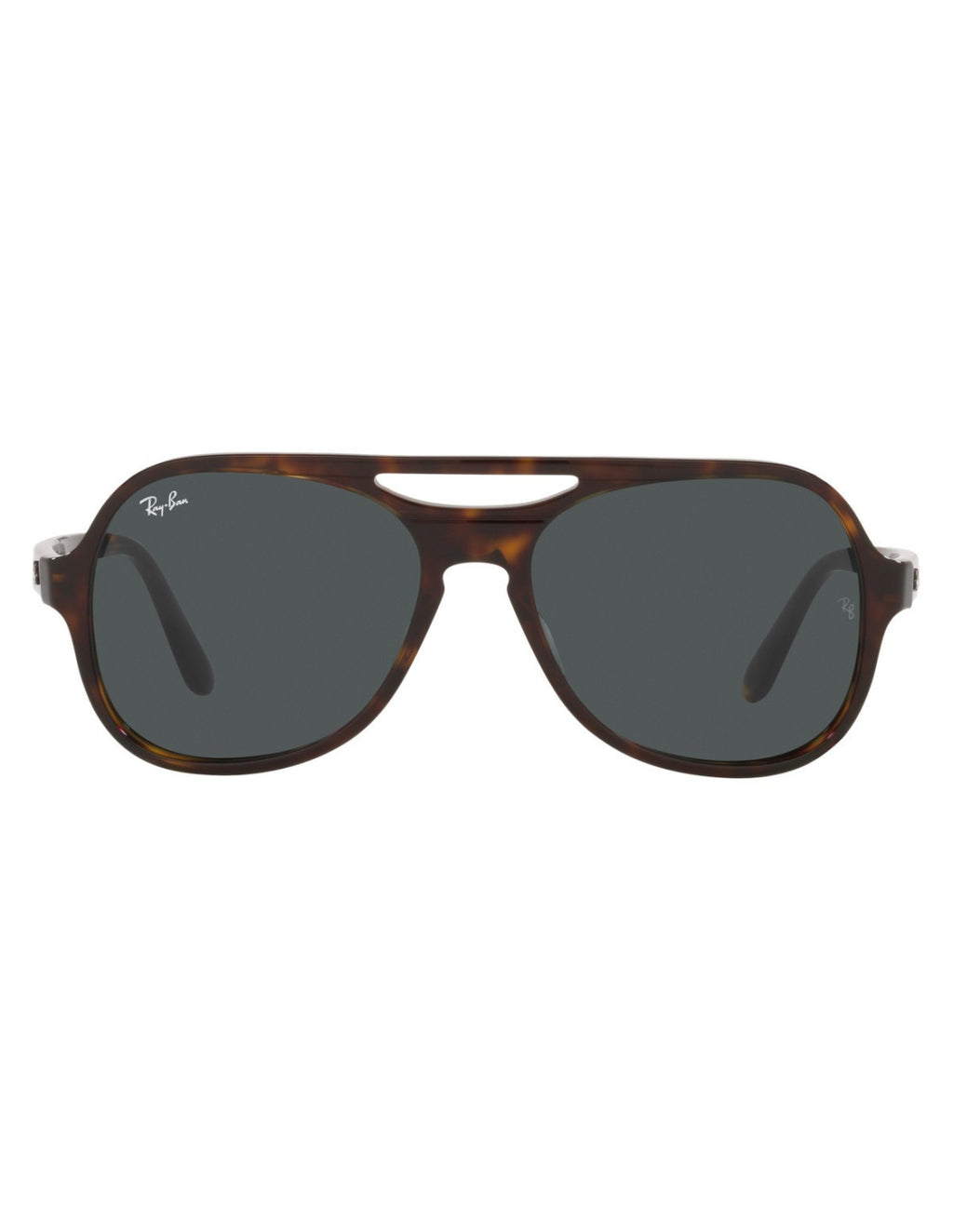 Ray Ban PowderHorn