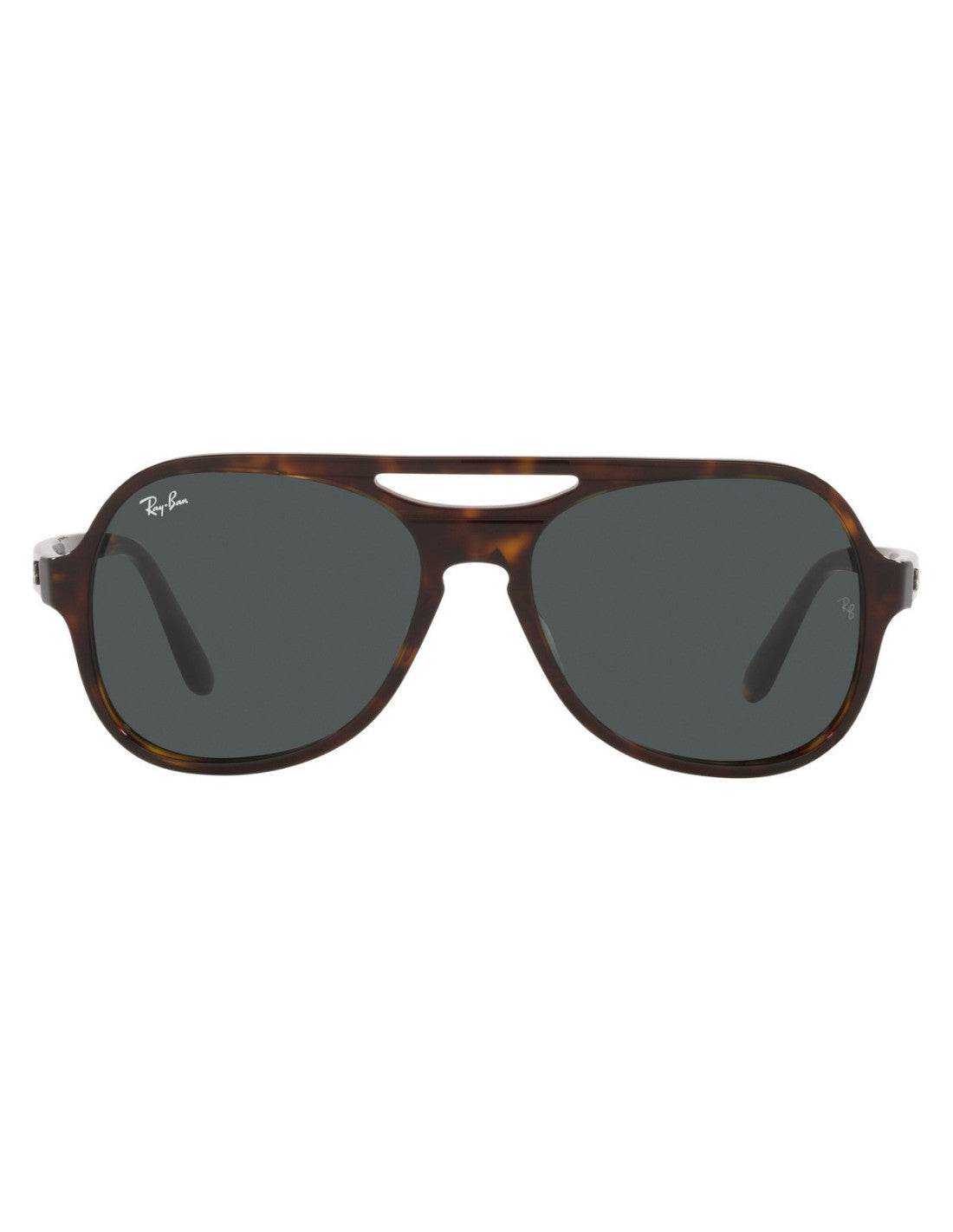 Ray Ban PowderHorn