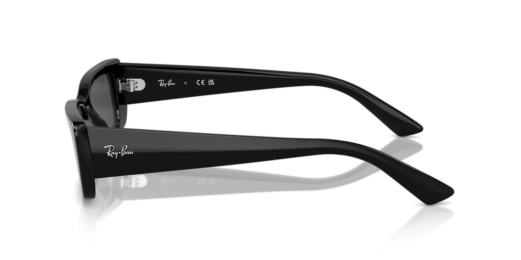 Ray Ban RB4425 Teru Bio-Based